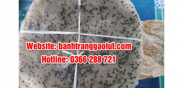 Bánh tráng gạo lứt giá rẻ uy tín